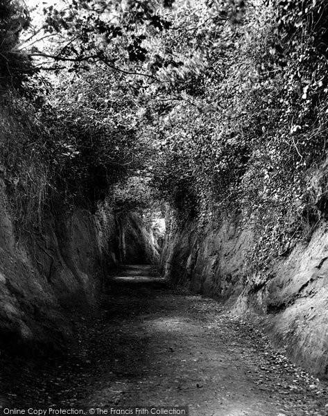 Photo of Budleigh Salterton, Dark Lane 1906