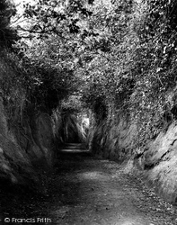 Dark Lane 1906, Budleigh Salterton