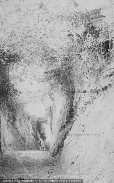 Photo of Budleigh Salterton, Dark Lane c.1890