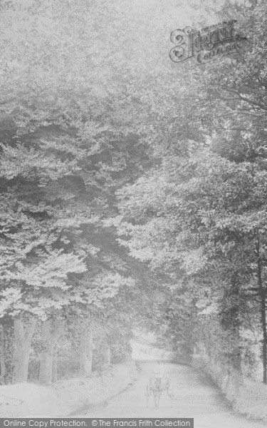 Photo of Budleigh Salterton, Knowle Hill c.1890