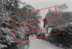 Pig's Nose 1922, Buntingford