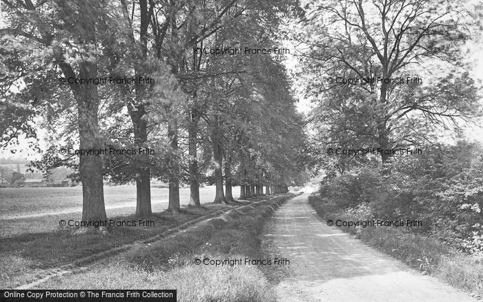 Photo of Buntingford, The Causeway 1929
