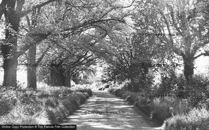 Photo of Buntingford, The Causeway c.1955