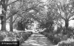 The Causeway c.1955, Buntingford