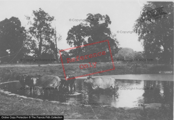 Photo of Buntingford, The Farm c.1955