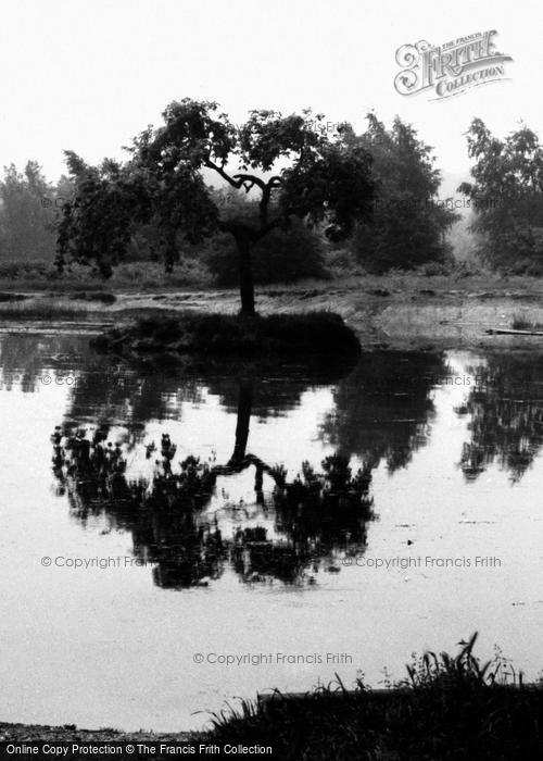 Photo of Burgh Heath, Reflections In The Pond c.1960