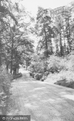 Five Oaken c.1960, Burghfield Common