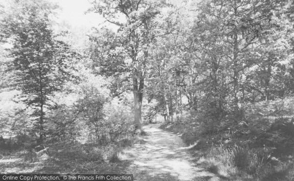 Photo of Burghfield Common, Pullen Road c.1955
