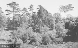 The Firs c.1955, Burghfield Common