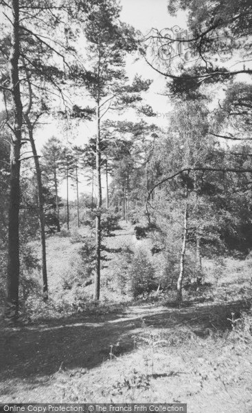 Photo of Burghfield Common, The Firs c.1955