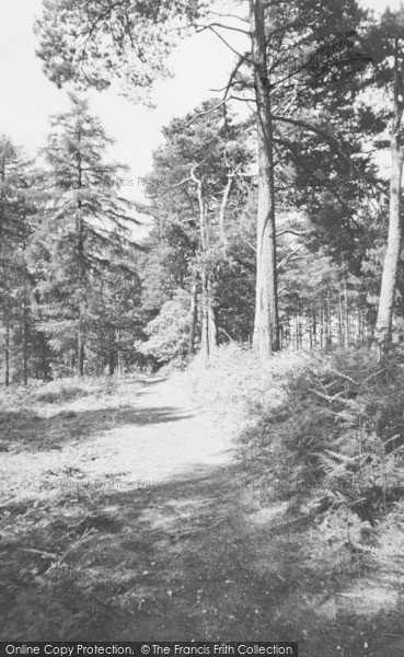 Photo of Burghfield Common, The Firs c.1955