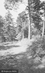 The Firs c.1955, Burghfield Common