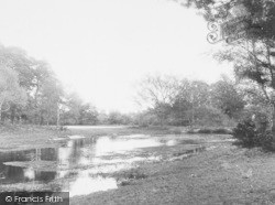 The Fish Pond c.1955, Burghfield Common
