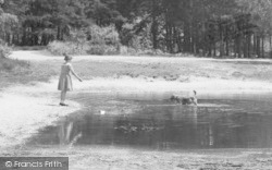 The Fishpond, A Girl And Her Dog c.1955, Burghfield Common