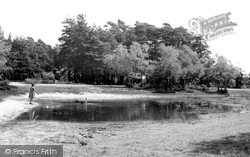 The Fishpond c.1955, Burghfield Common