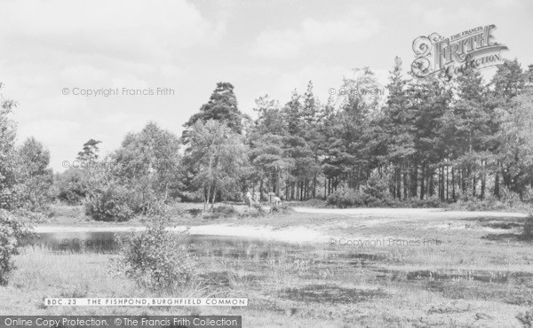 Photo of Burghfield Common, The Fishpond c.1955