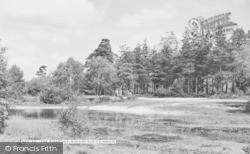 The Fishpond c.1955, Burghfield Common