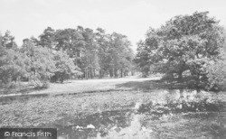 The Fishpond c.1960, Burghfield Common
