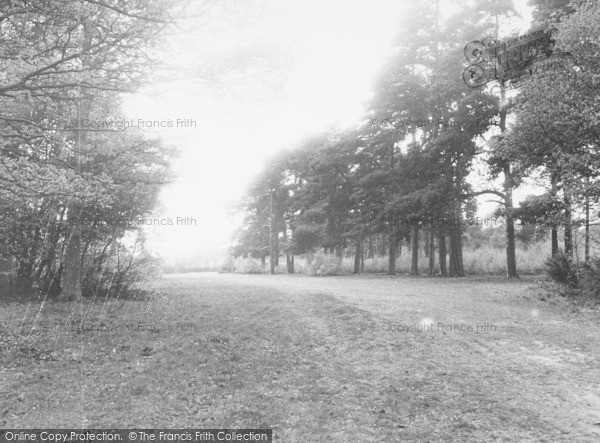 Photo of Burghfield Common, The Green c.1955