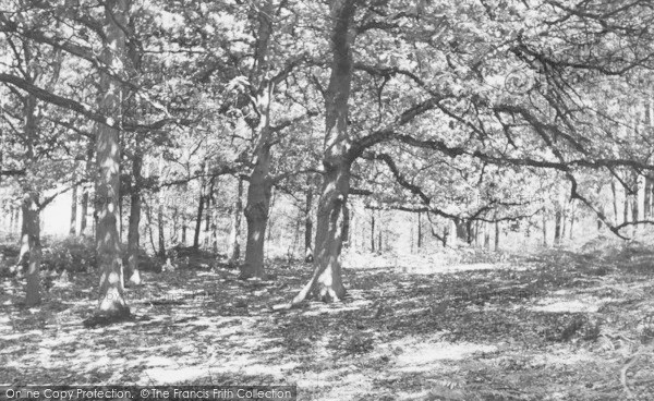 Photo of Burghfield Common, The Woods c.1955