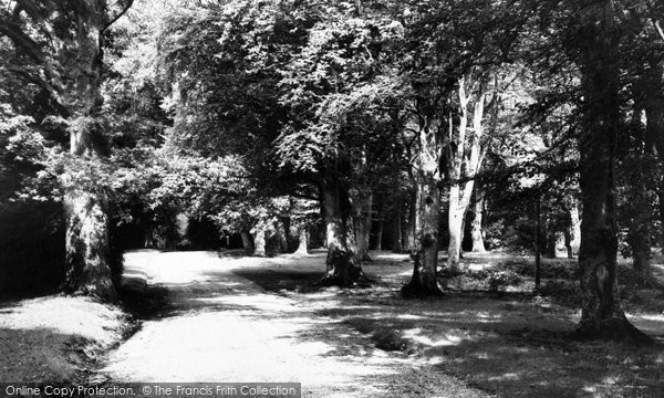Photo of Burley, Beechwood c.1960