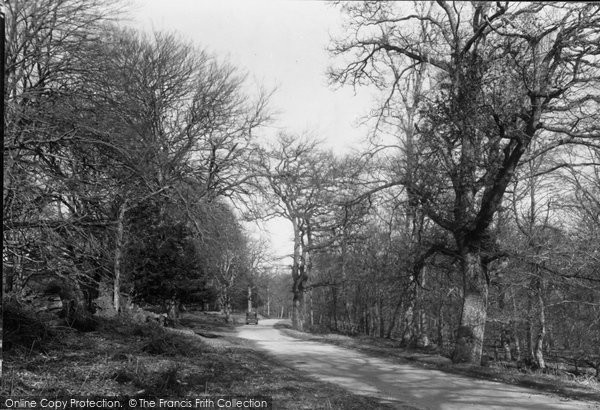 Photo of Burley, The New Forest c.1955