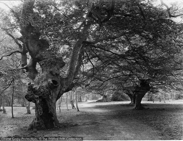 Photo of Burnham, Beeches 1929