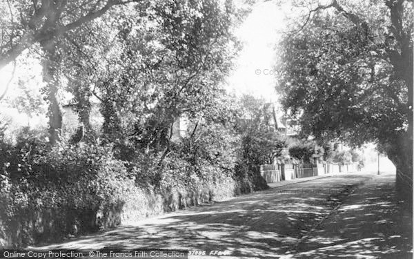 Photo of Burnham On Sea, Berrow Road 1896