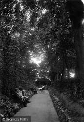 Manor Gardens, A Shady Walk 1913, Burnham-on-Sea