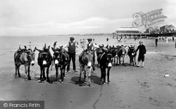 The Donkeys On The Sands 1926, Burnham-on-Sea