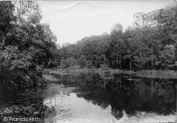 Pond At Burnham Beeches 1896, Burnham