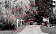 Children By The Bridge c.1960, Burton Bradstock