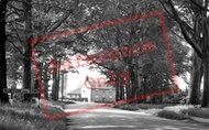 The Avenue c.1955, Burton Upon Stather