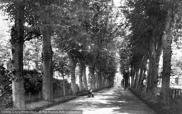 Photo of Bury St Edmunds, Avenue In Churchyard 1898
