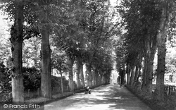 Avenue In Churchyard 1898, Bury St Edmunds