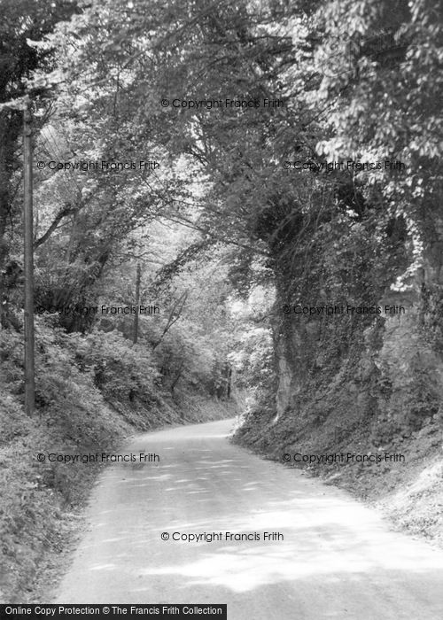Bury, the Hollow c1955 Photo of Bury, The Hollow c.1955