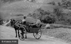 Horse And Cart 1898, Butser Hill