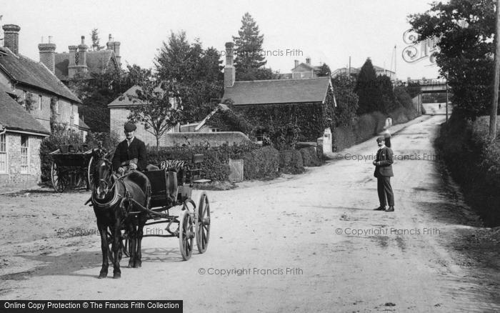 Photo of Buxted, Horse And Trap In The Village 1904