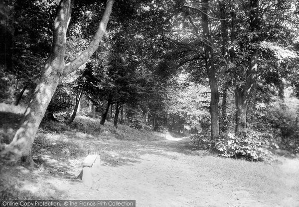 Photo of Buxton, In Corbar Woods 1915