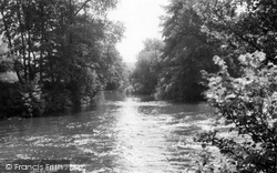 The Old River Wey c.1960, Byfleet