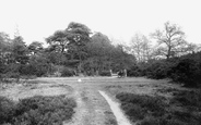 View On New Zealand Golf Links 1906, Byfleet