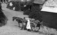 Horse And Cart 1911, Cadgwith