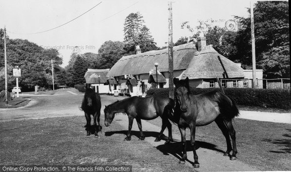 Photo of Cadnam, The Sir John Barleycorn, And Ponies c.1960