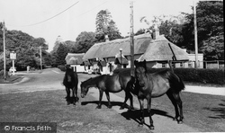 The Sir John Barleycorn, And Ponies c.1960, Cadnam
