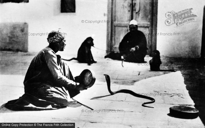 Photo of Cairo, A Snake Charmer c.1935