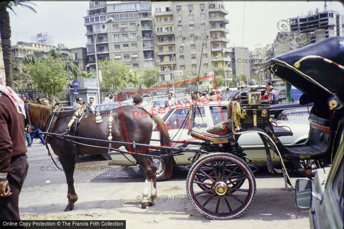 Photo of Cairo, Horse Drawn Carriage 1982