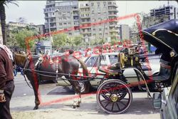 Horse Drawn Carriage 1982, Cairo