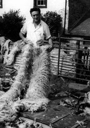 Sheep Shearer c.1955, Caldbeck