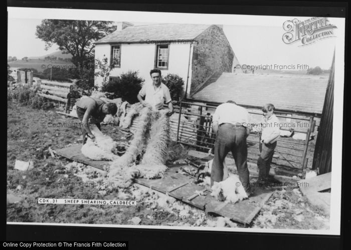 Photo of Caldbeck, Sheep Shearing c.1955