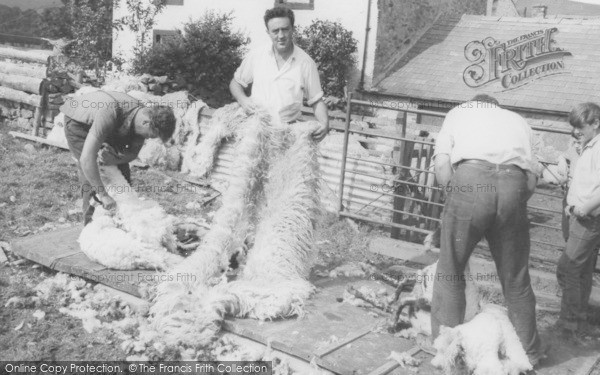 Photo of Caldbeck, Sheep Shearing c.1955